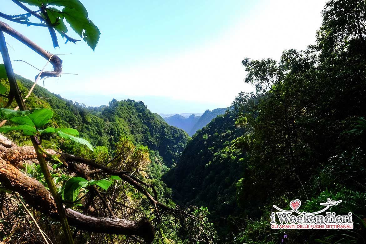 cosa vedere a madeira e dintorni