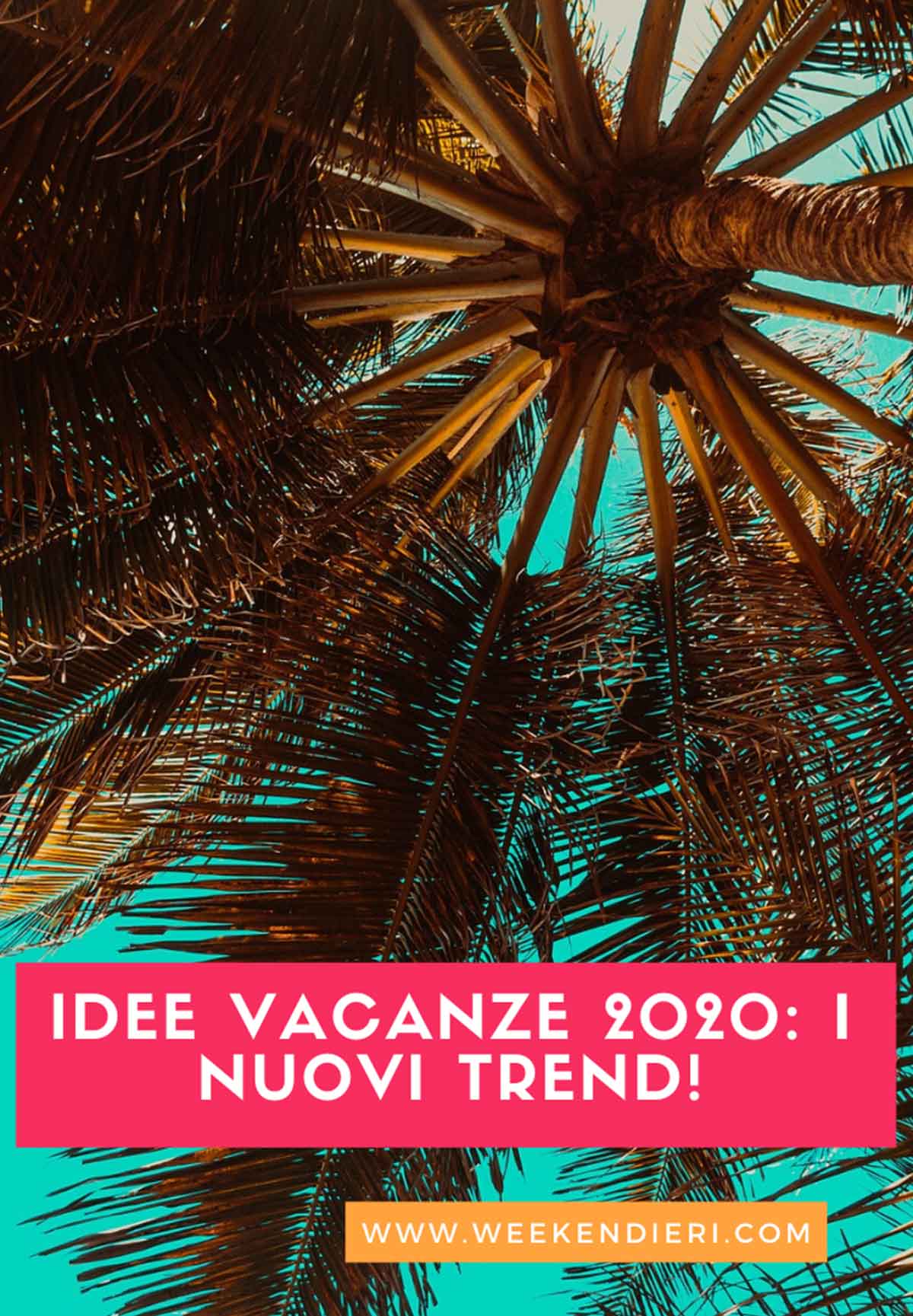 Dove andare nel 2020