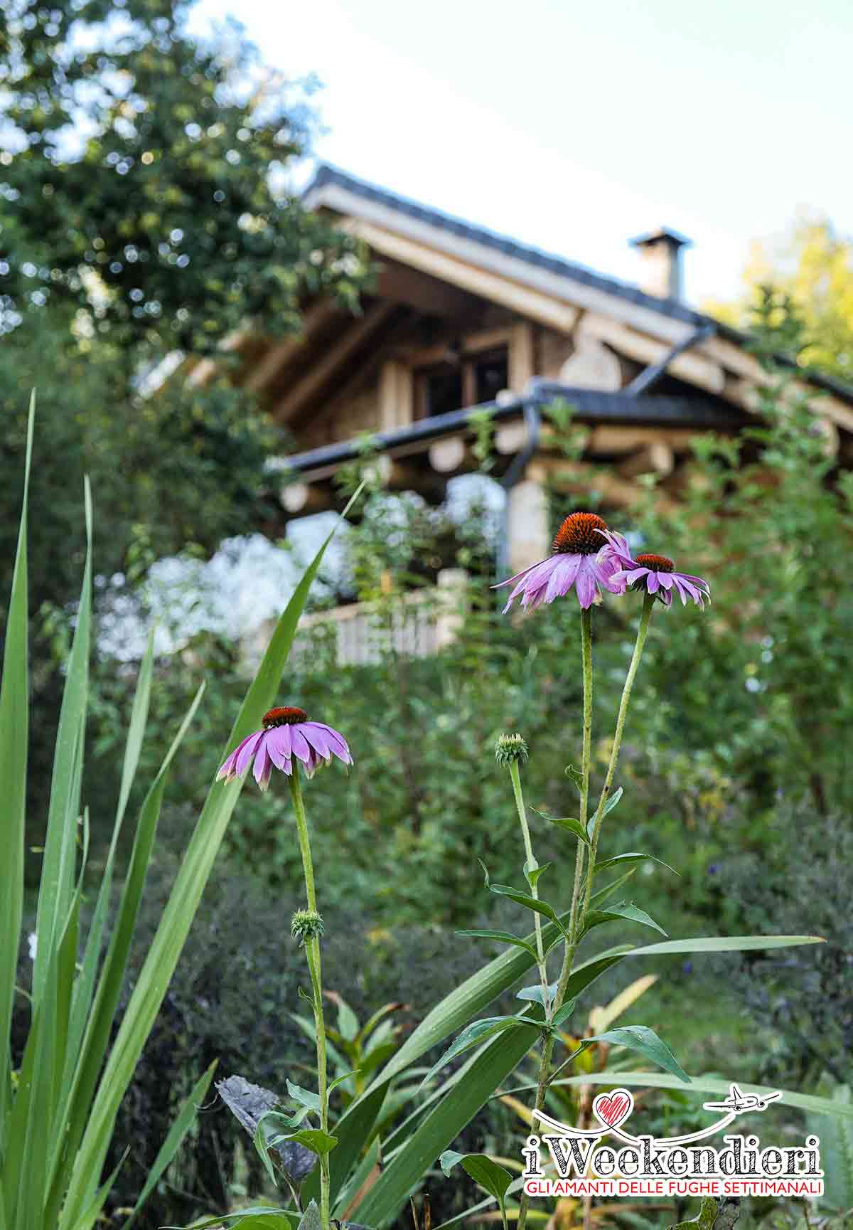 Casa sull'albero in Piemonte