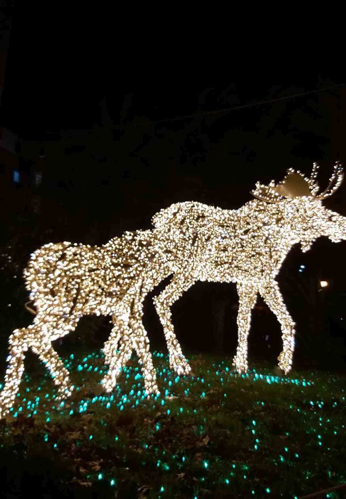 luci d'artista salerno