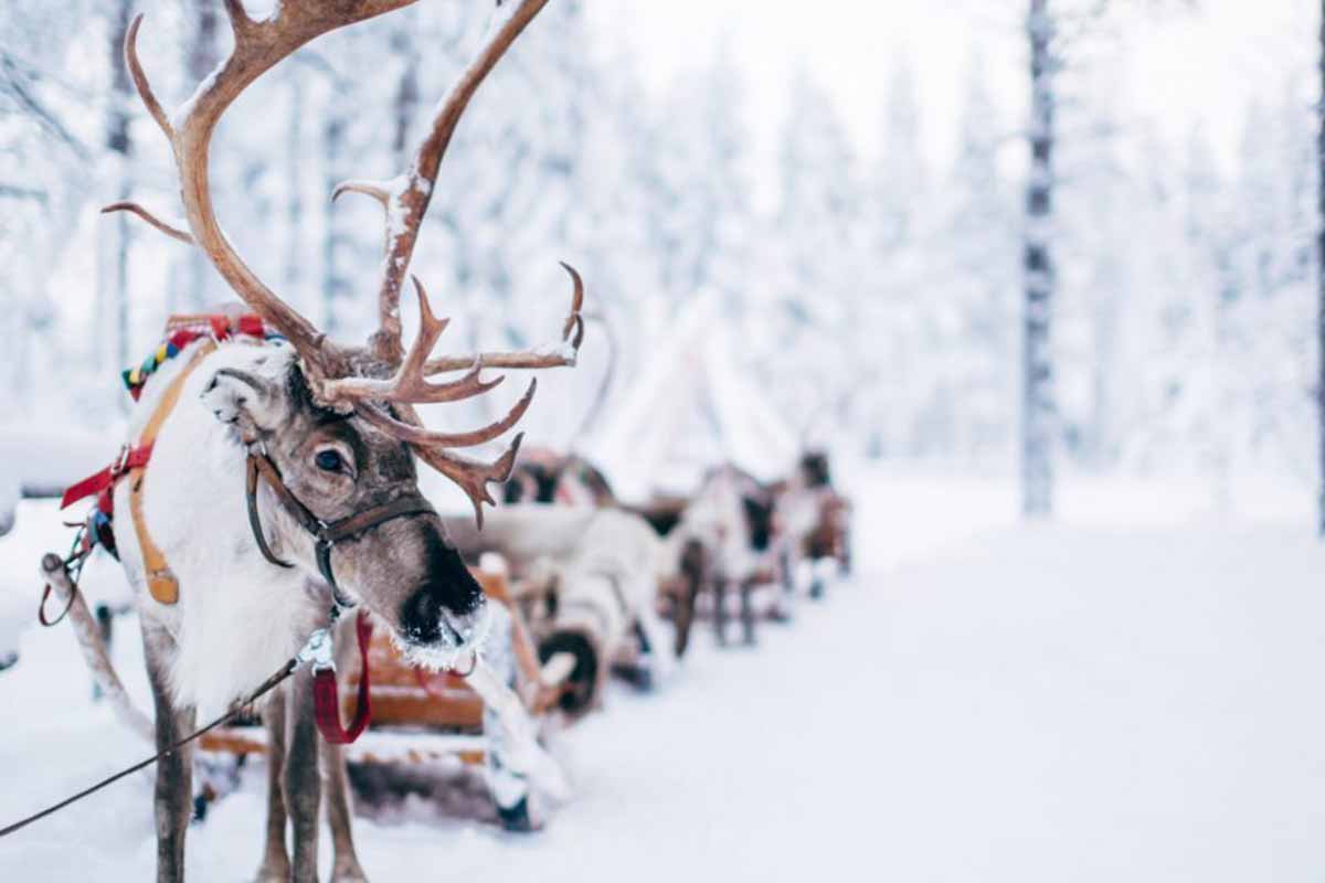 Visitare il Villaggio di Babbo Natale in Finlandia