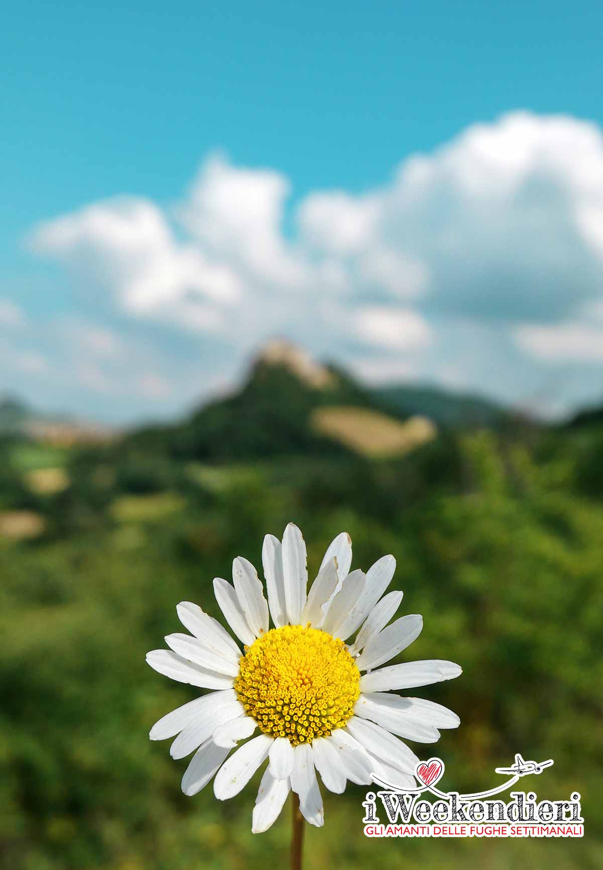 castelli di canossa