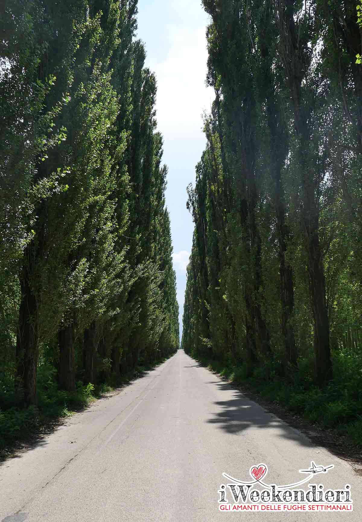Gualtieri Reggio Emilia