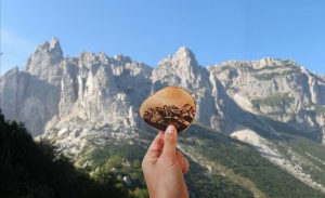 attrezzatura trekking zaino bastoncini copia