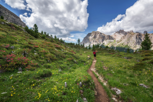 sentieri panoramici trentino
