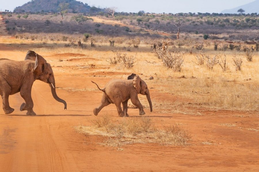 viaggi da fare almeno una volta nella vita