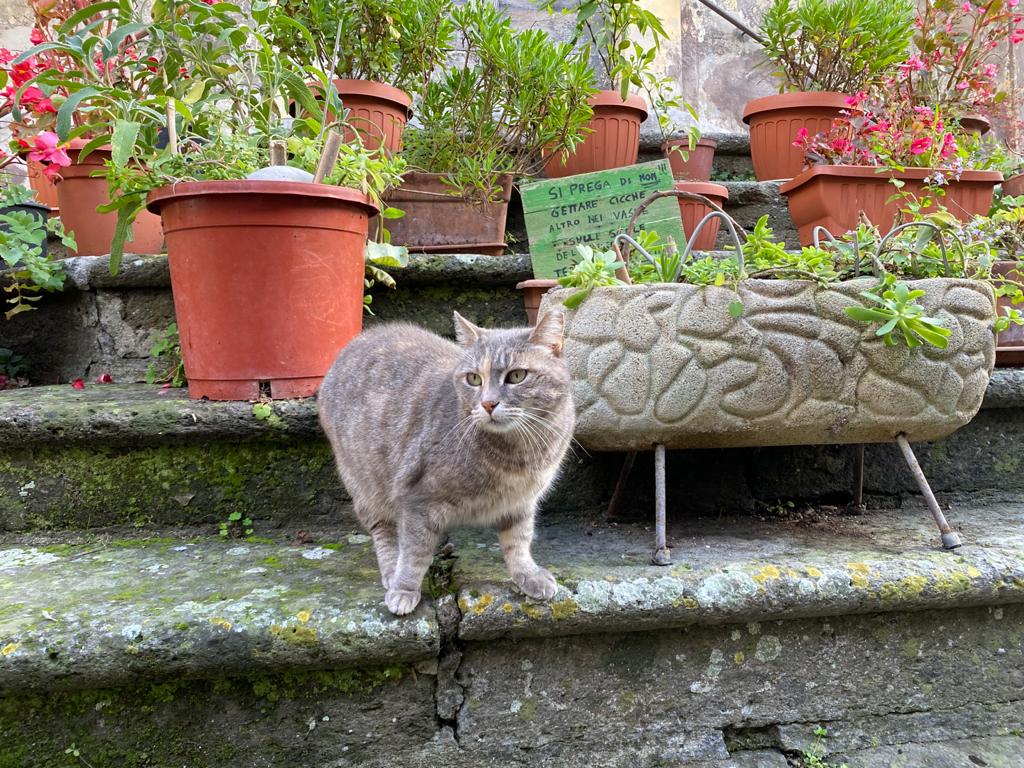 cosa vedere a Calcata