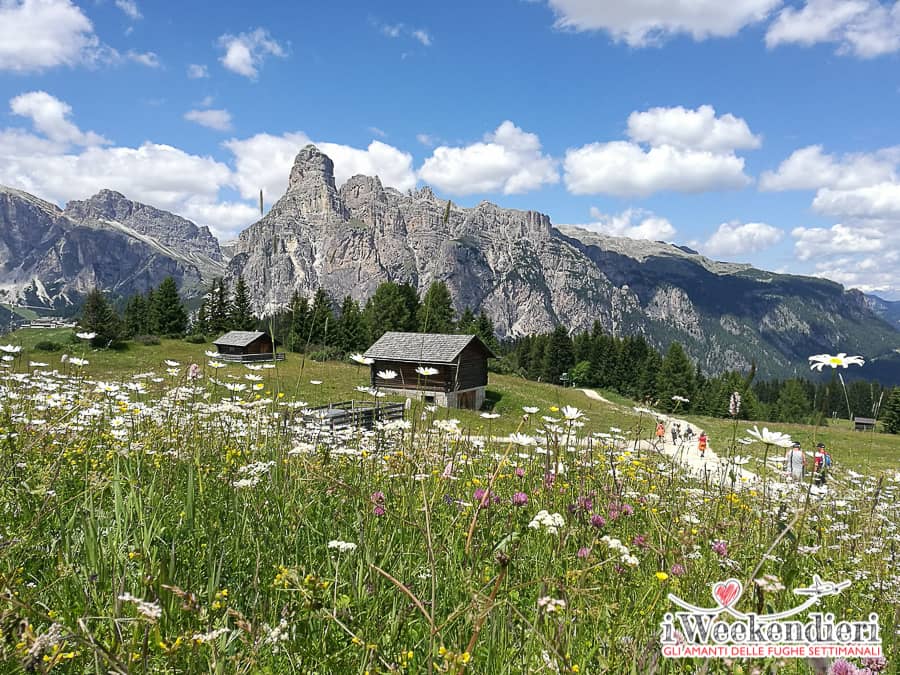 Alta Badia