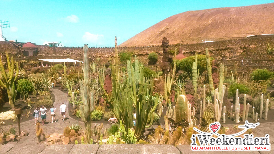 giardino dei cactus lanzarote
