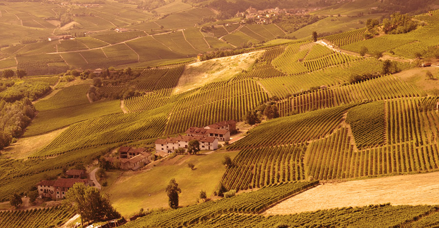 le langhe