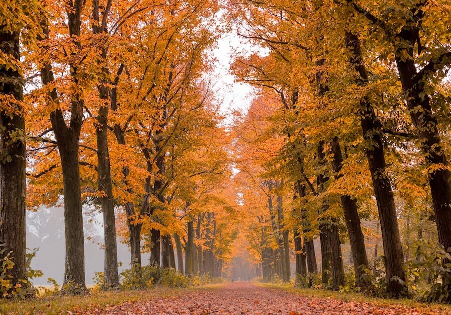 parco di monza gite fuori porta milano