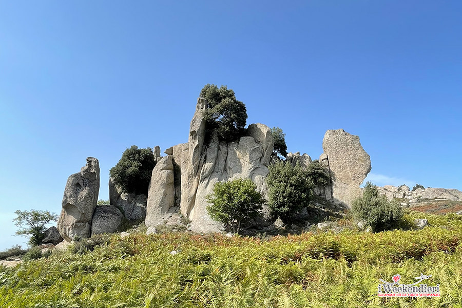 Nebrodi: Megaliti dell'Argimusco