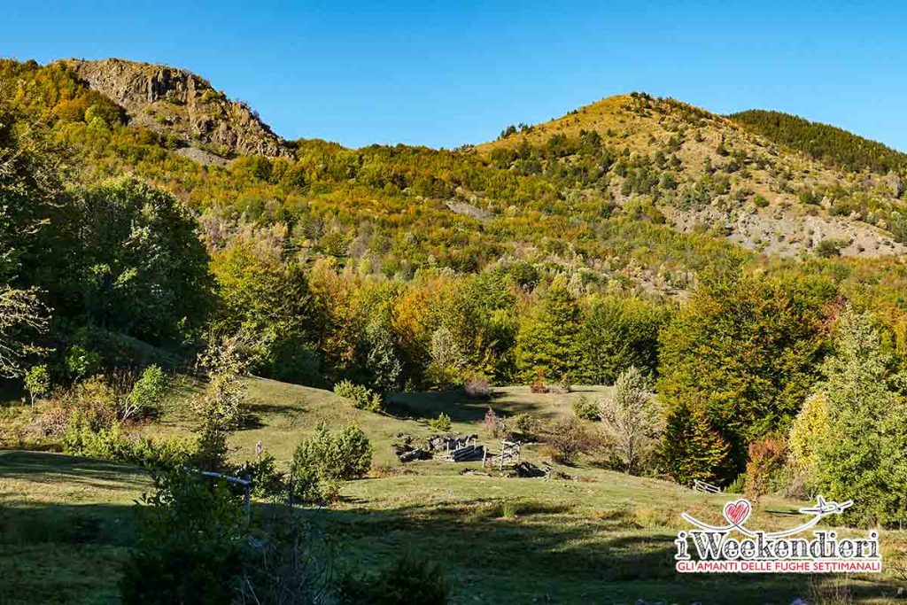 colli piacentini