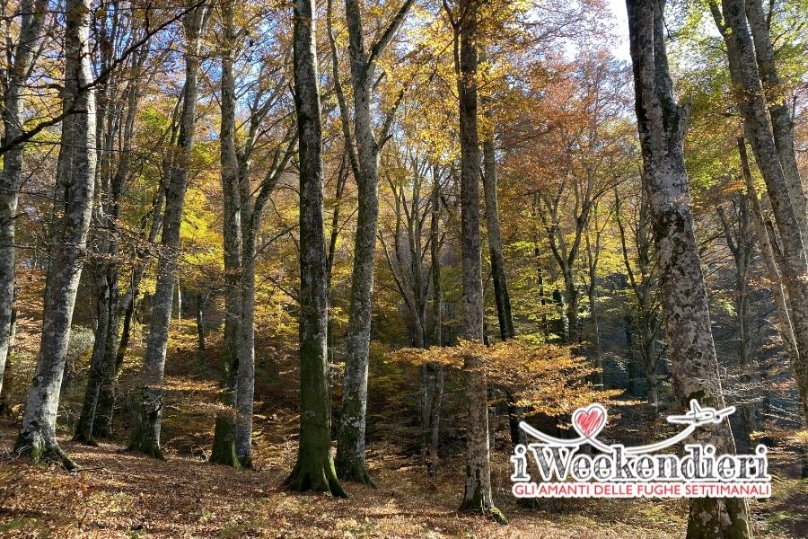 foliage nel Lazio