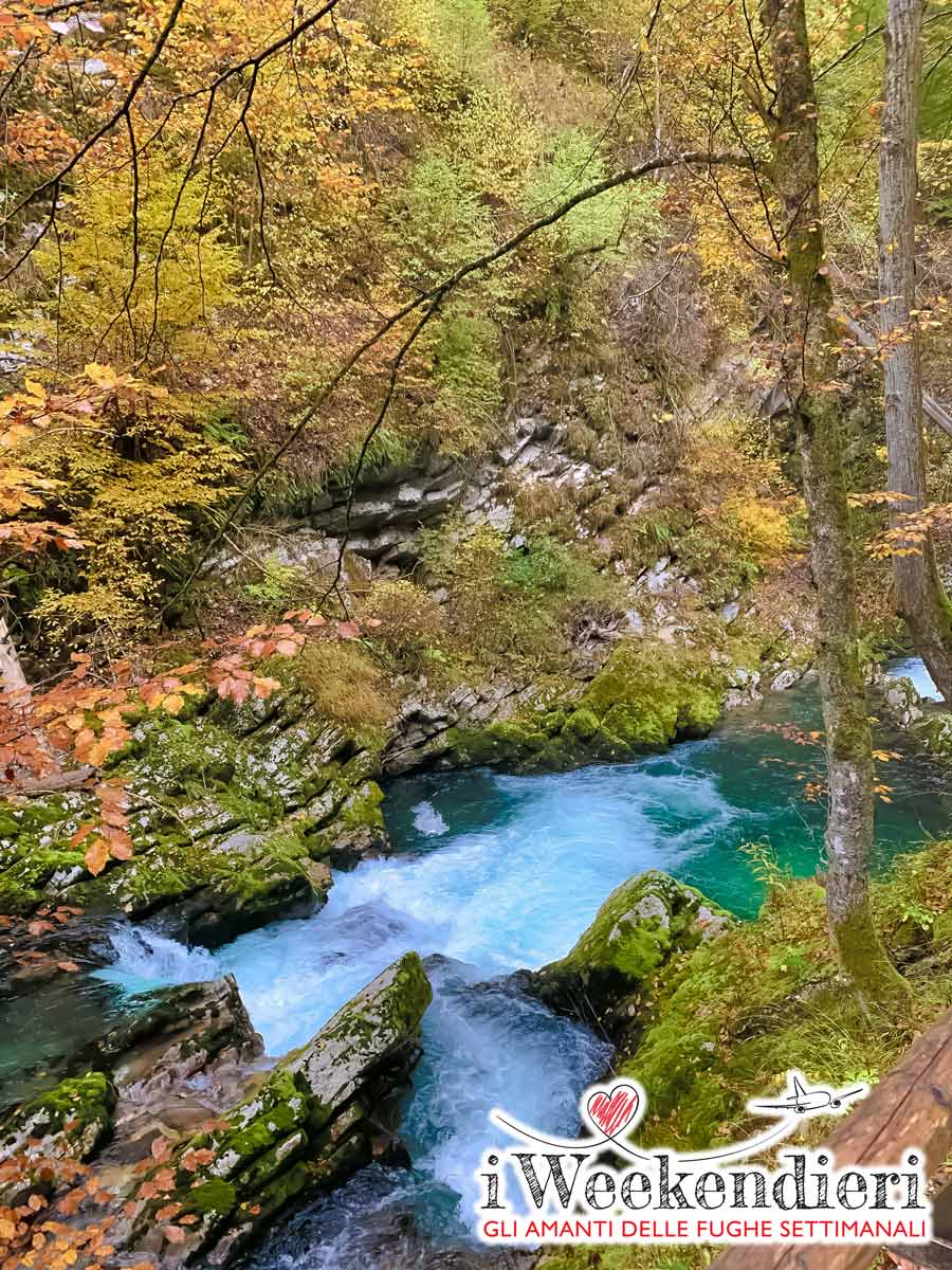 slovenia on the road
