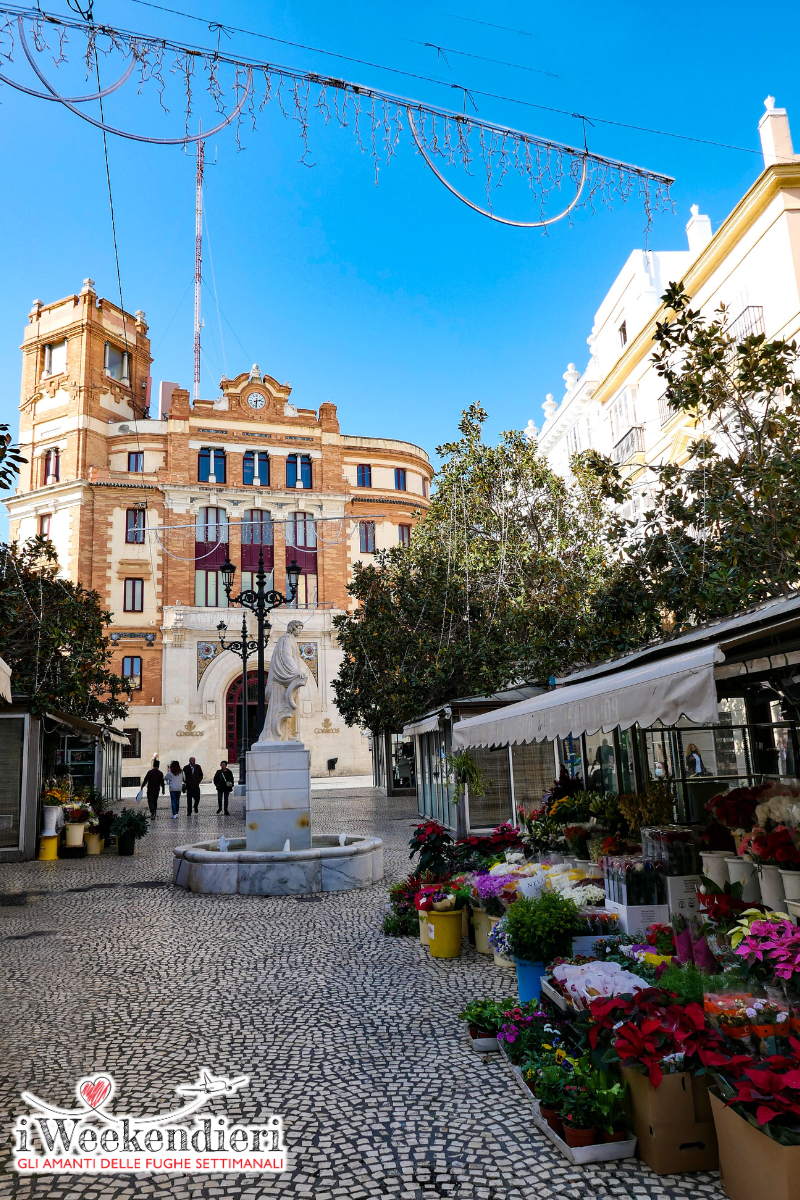 plaza de flores Cadice