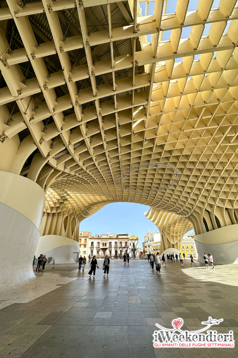 setas siviglia in andalusia