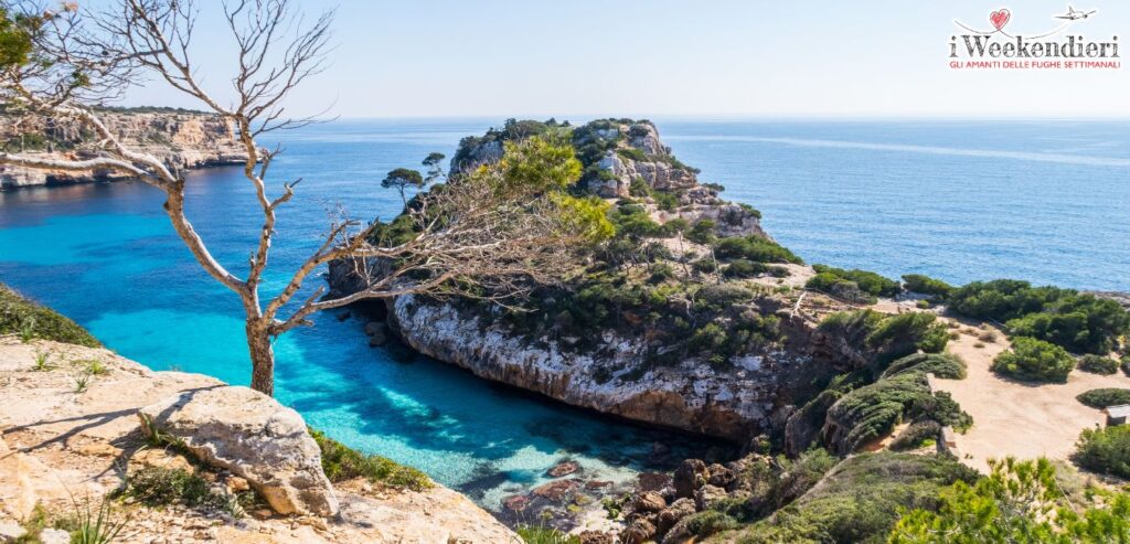 le più belle spiagge di palma