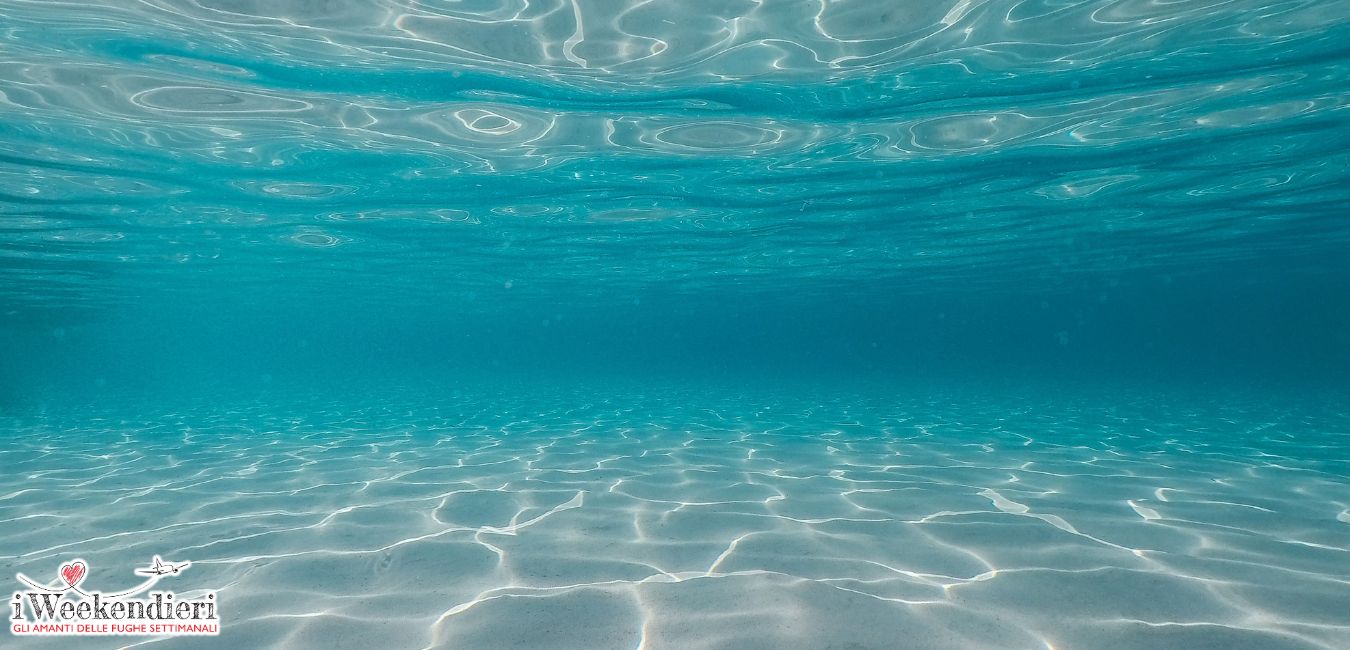 spiagge più belle palma di maiorca