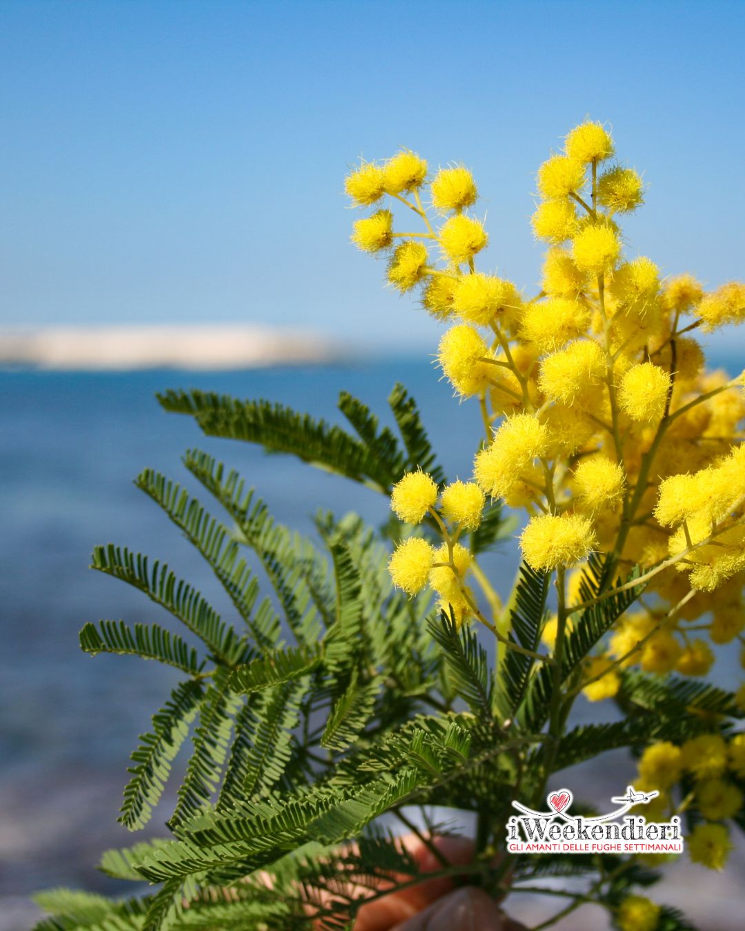 festa della donna 2025 idee weekend